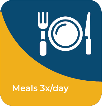 Meals-3x/day